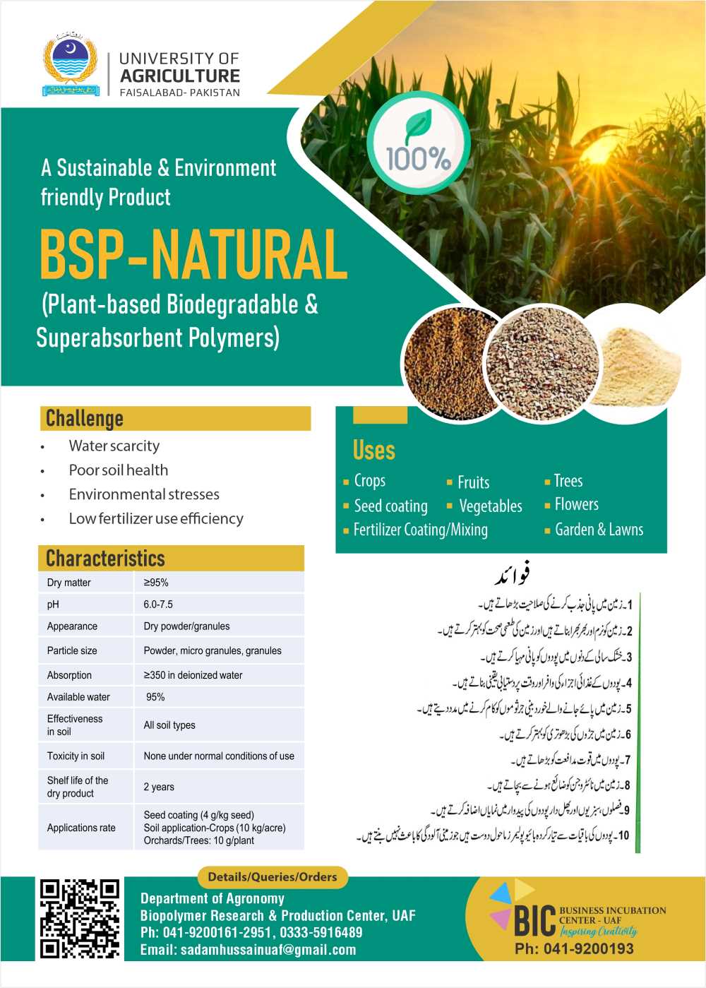 BSP Natural